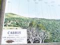 gal/Vacances/Un_Joli_Village_nomme_Cabris/_thb_Grasse2007 227.jpg